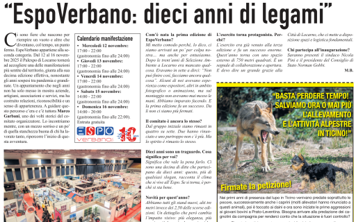 Il Mattino 9 novembre 2025